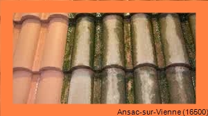nettoyage toiture Ansac-sur-Vienne-16500