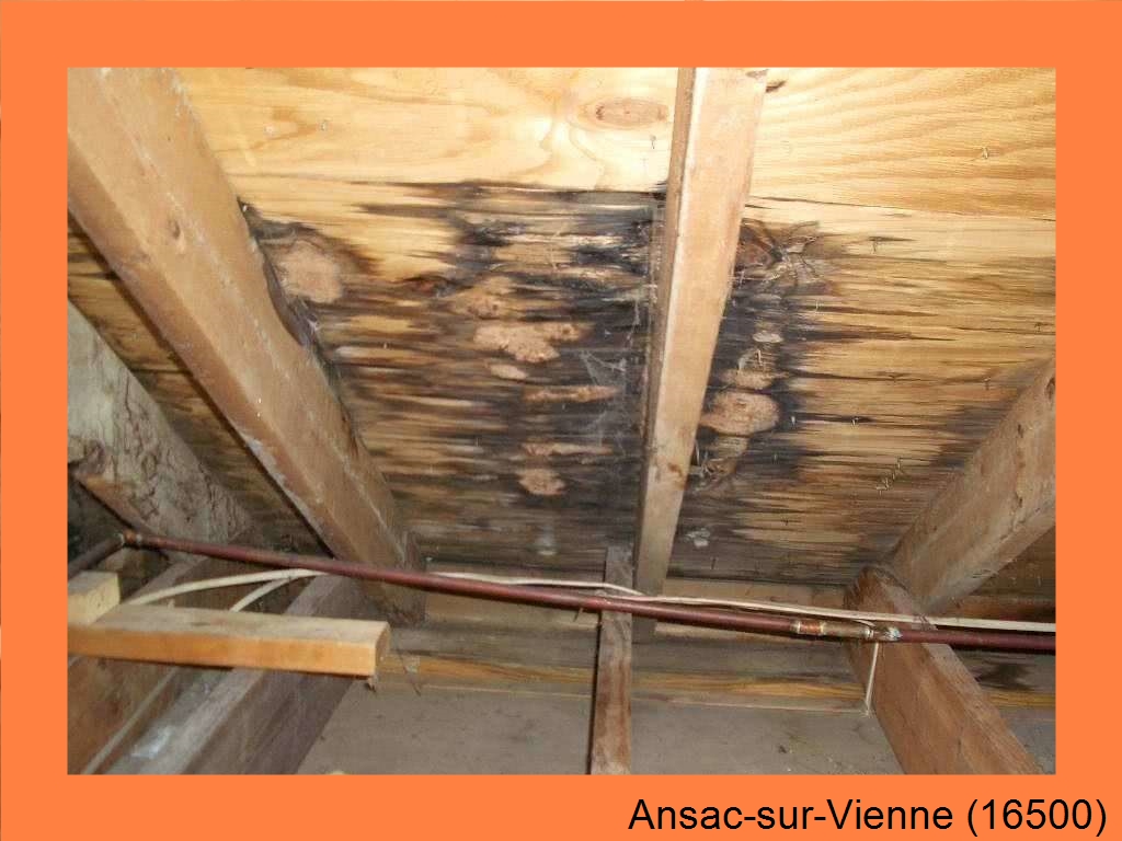 réparation couverture Ansac-sur-Vienne-16500
