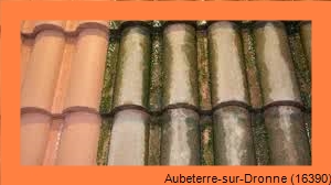 nettoyage toiture Aubeterre-sur-Dronne-16390