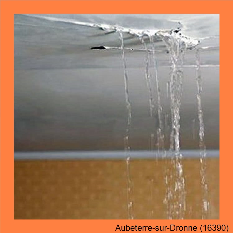 fuite toitureAubeterre-sur-Dronne-16390