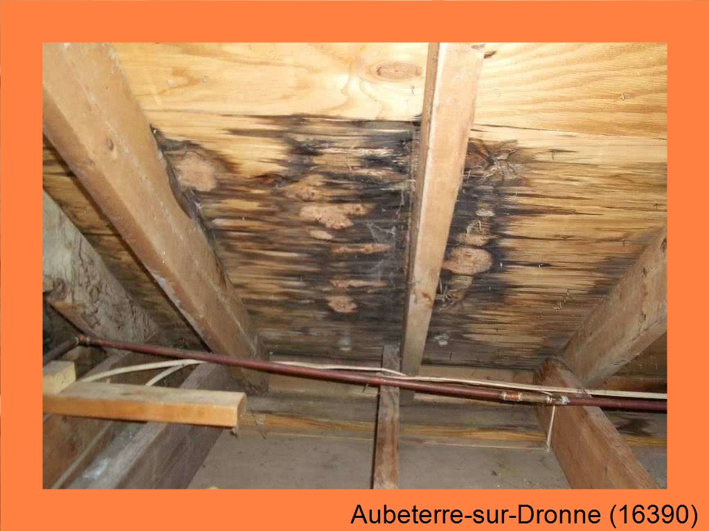 réparation couverture Aubeterre-sur-Dronne-16390