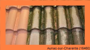 nettoyage toiture Aunac-sur-Charente-16460