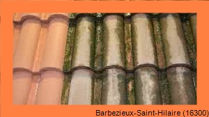 nettoyage toiture Barbezieux-Saint-Hilaire-16300