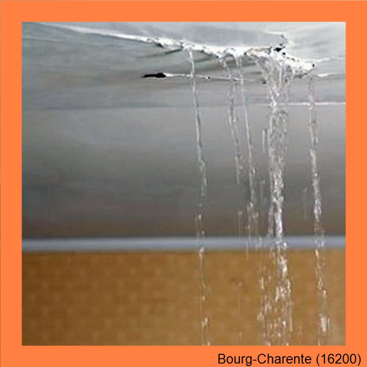 fuite toitureBourg-Charente-16200