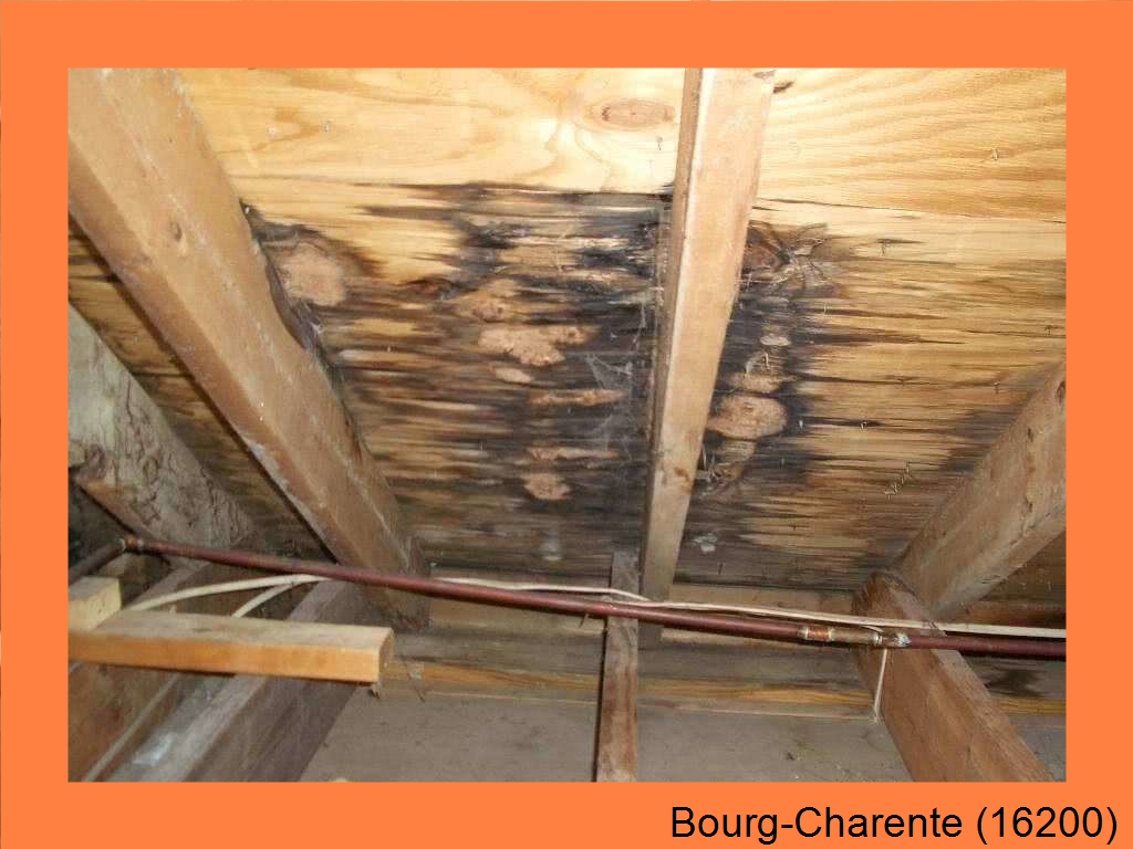 réparation couverture Bourg-Charente-16200