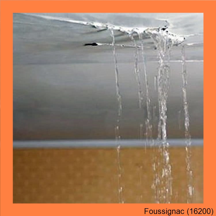 fuite toitureFoussignac-16200