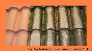 nettoyage toiture La Rochefoucauld-en-Angoumois-16110