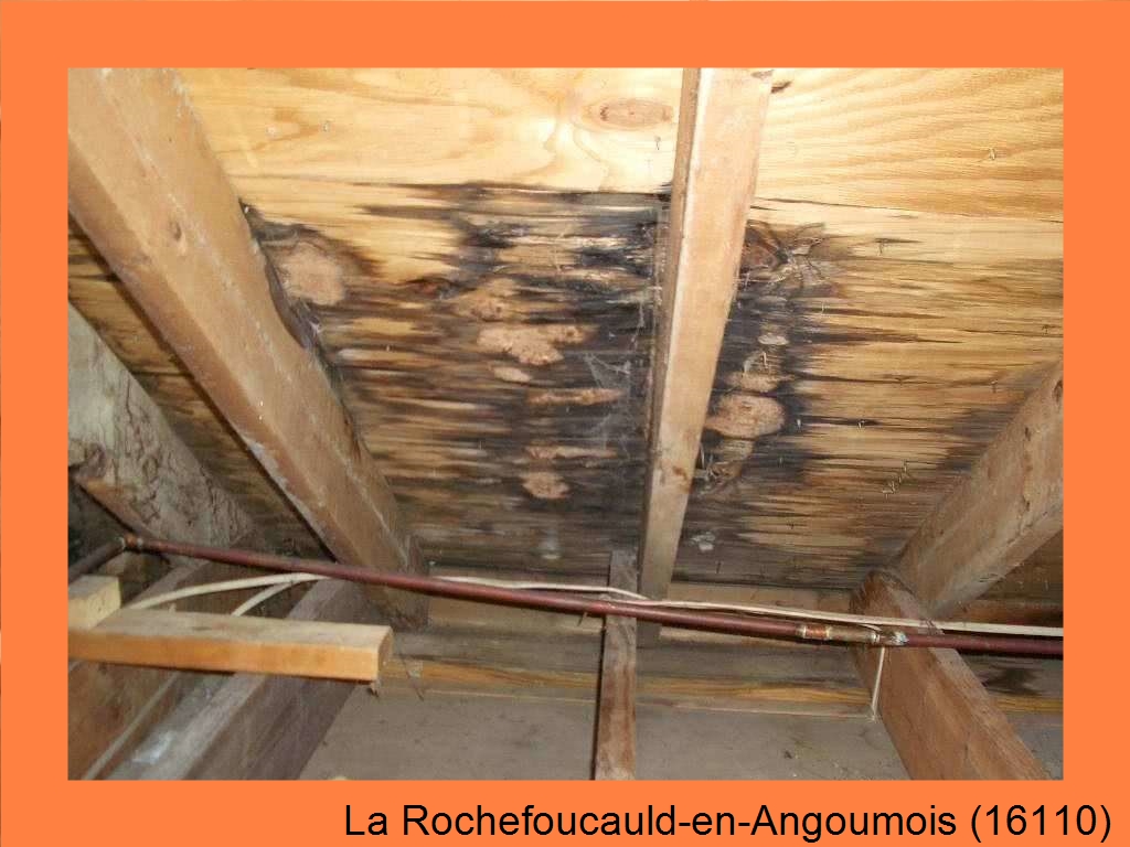 réparation couverture La Rochefoucauld-en-Angoumois-16110