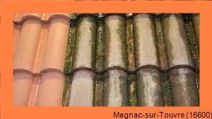 nettoyage toiture Magnac-sur-Touvre-16600