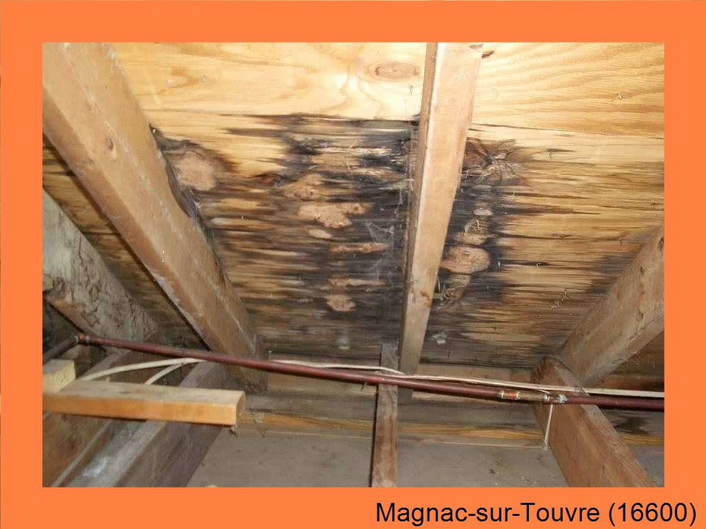 réparation couverture Magnac-sur-Touvre-16600