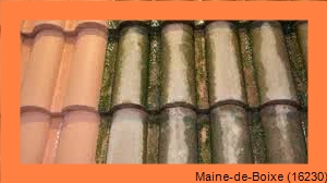 nettoyage toiture Maine-de-Boixe-16230