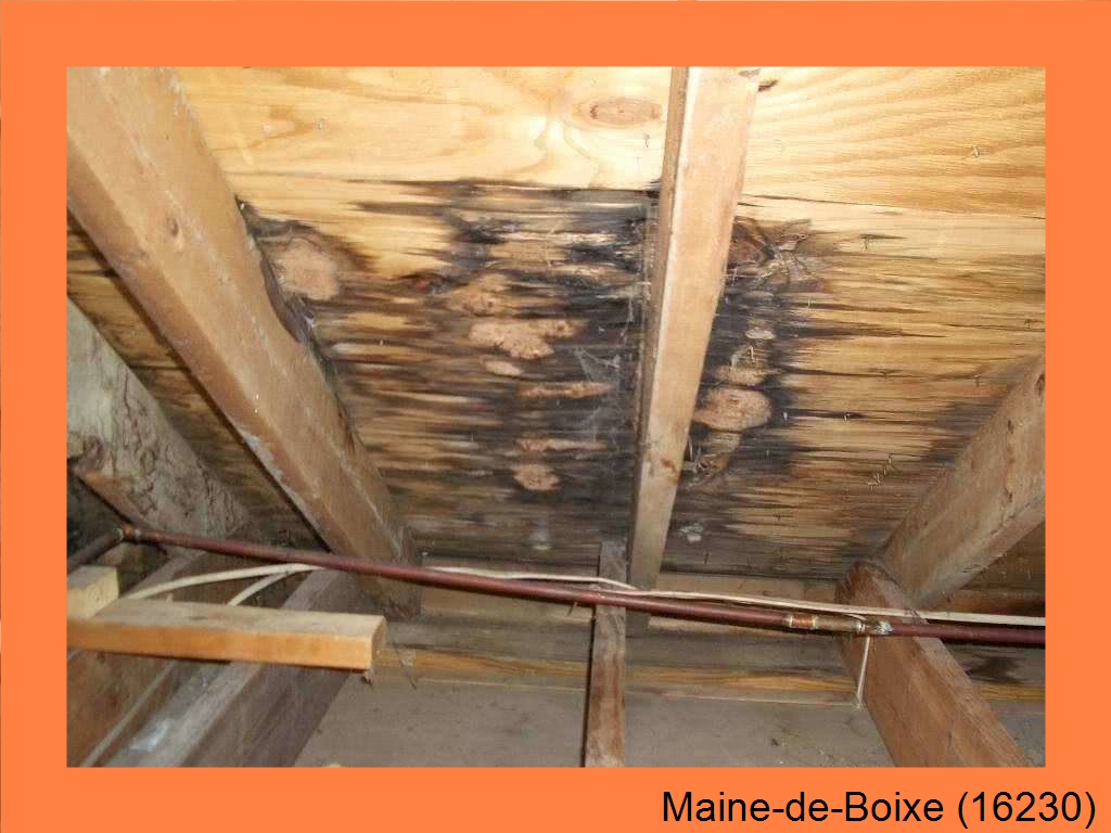 réparation couverture Maine-de-Boixe-16230