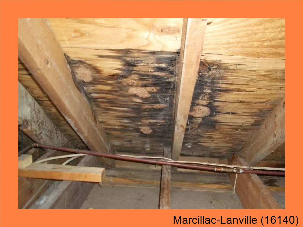 réparation couverture Marcillac-Lanville-16140