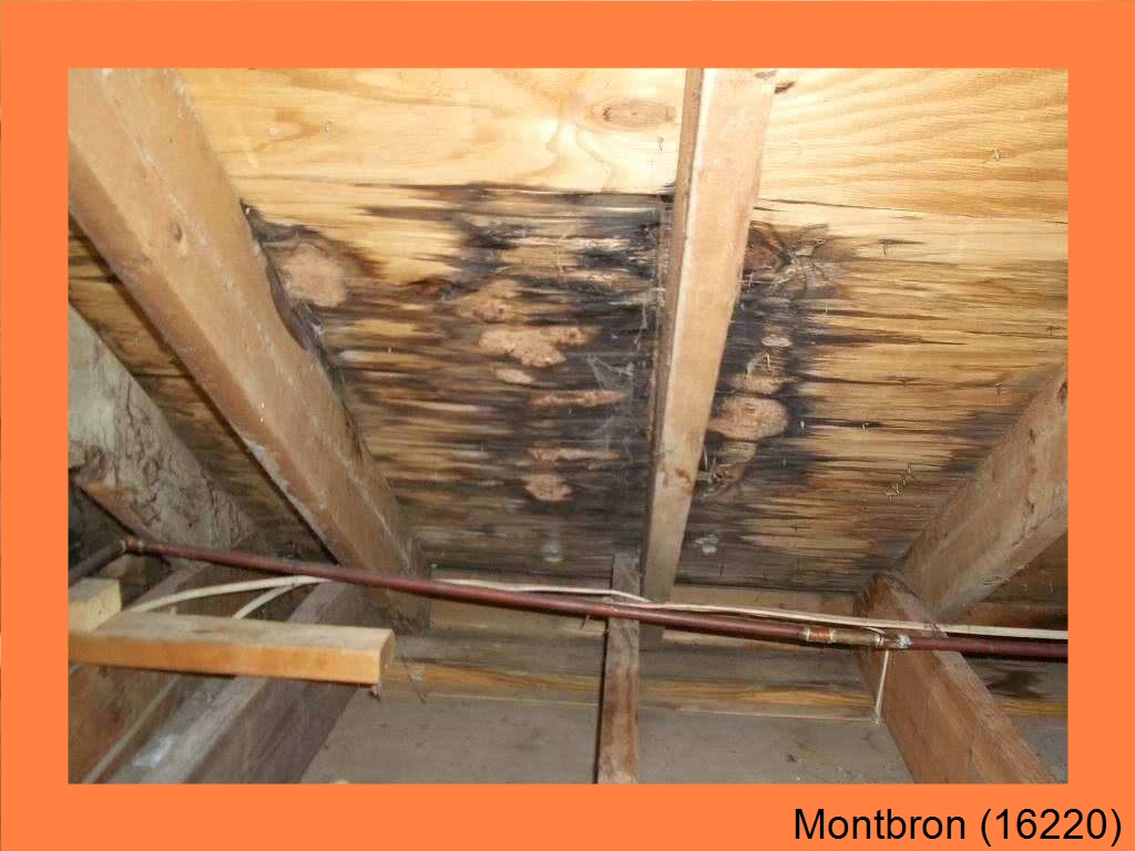 réparation couverture Montbron-16220