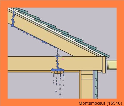 couvreur Montembœuf-16310