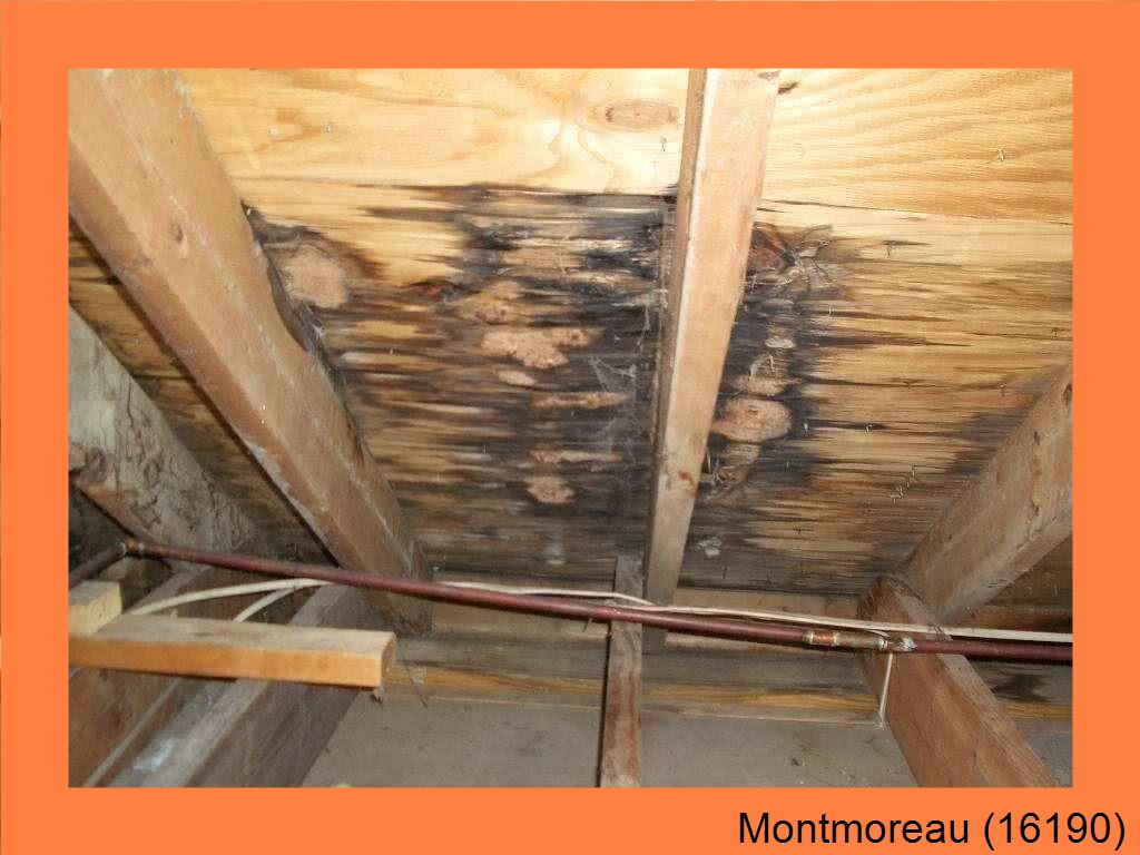 réparation couverture Montmoreau-16190