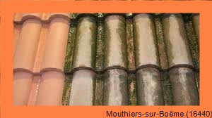 nettoyage toiture Mouthiers-sur-Boëme-16440
