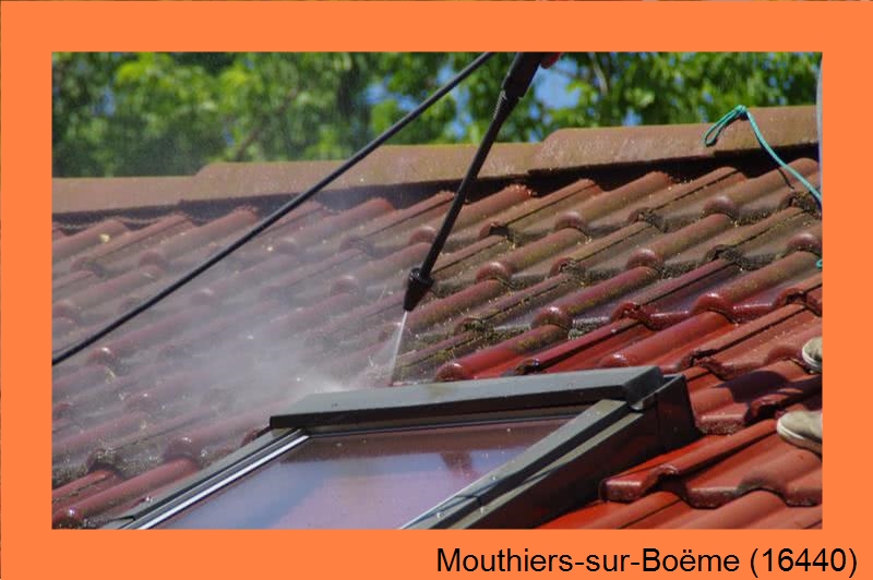 traitement anti-mousseMouthiers-sur-Boëme-16440