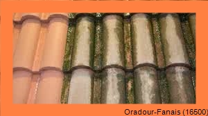 nettoyage toiture Oradour-Fanais-16500