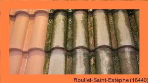 nettoyage toiture Roullet-Saint-Estèphe-16440