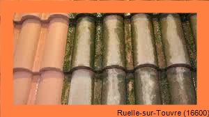 nettoyage toiture Ruelle-sur-Touvre-16600