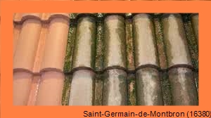 nettoyage toiture Saint-Germain-de-Montbron-16380