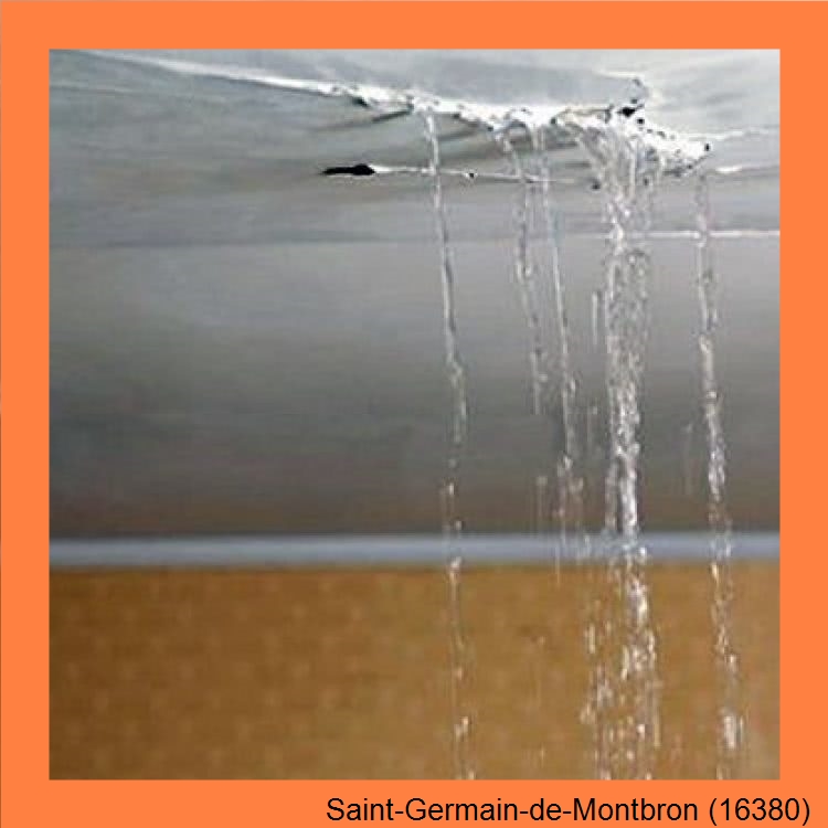 fuite toitureSaint-Germain-de-Montbron-16380