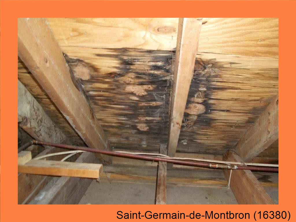 réparation couverture Saint-Germain-de-Montbron-16380