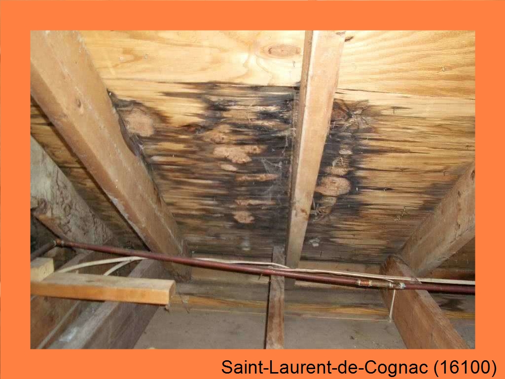 réparation couverture Saint-Laurent-de-Cognac-16100