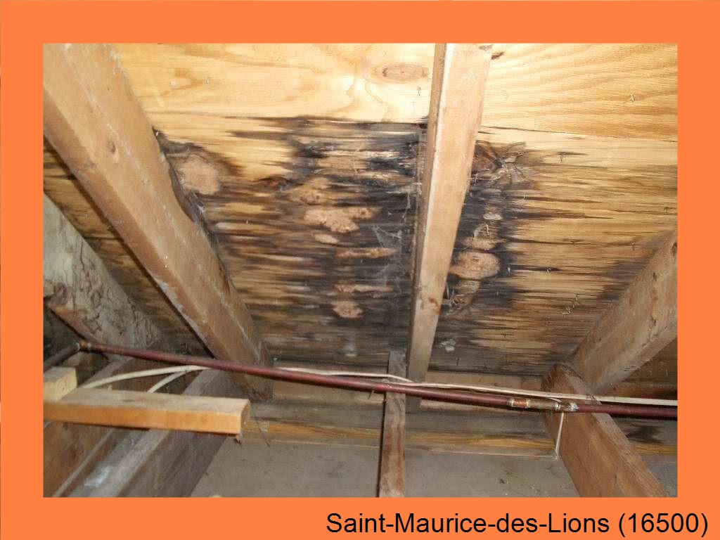 réparation couverture Saint-Maurice-des-Lions-16500