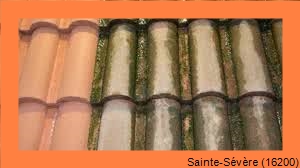nettoyage toiture Sainte-Sévère-16200