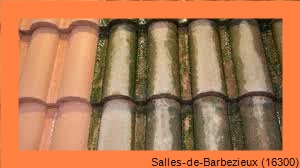 nettoyage toiture Salles-de-Barbezieux-16300
