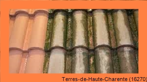 nettoyage toiture Terres-de-Haute-Charente-16270