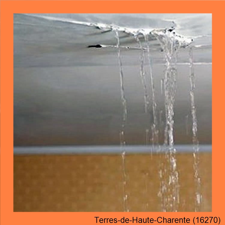 fuite toitureTerres-de-Haute-Charente-16270