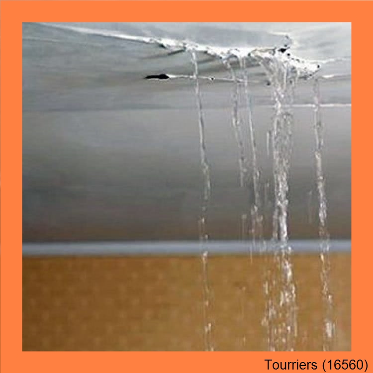 fuite toitureTourriers-16560