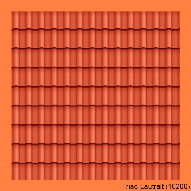 travaux toiture Triac-Lautrait-16200